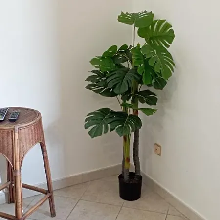 Diana Apartament Lipari (Isola Lipari)